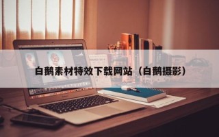 五指山白鹅素材特效下载网站（白鹅摄影）